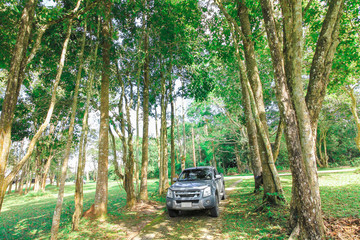 Country Road, Road, Summer, Car, Stationary