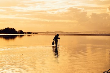 Silhouette of local fisherman finding the shell in the sea at sunset