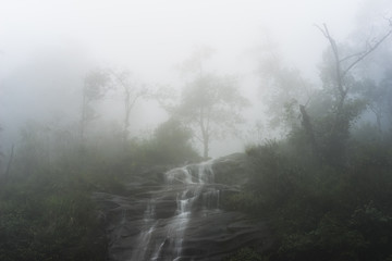 Foggy forest with waterfall