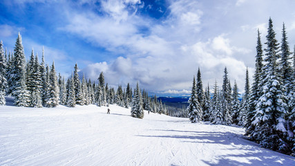 Fototapeta na wymiar Skiing in a Winter Landscape in the High Alpine on the Hills surrounding the Alpine Village of Sun Peaks in the Shuswap Highlands of central British Columbia, Canada