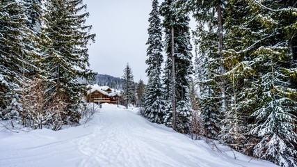 Fototapeta premium Winter Landscape with Snow Covered Roofs in the Alpine Village of Sun Peaks in the Shuswap Highlands of central British Columbia, Canada