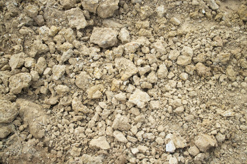 Dry soil surface