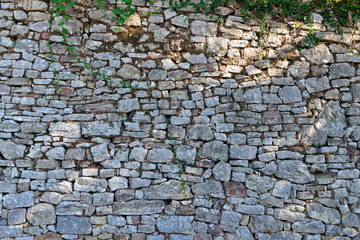 Moss growing on stone wall