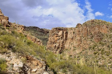 Fototapeta na wymiar Gorgeous Desert Landscape of Southern Arizona featuring the beautiful Catalina Mountains 