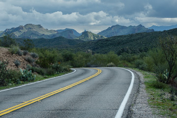 Fototapeta premium Beautiful Bush Highway Arizona, USA 
