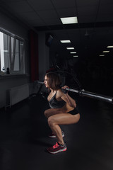 Beautiful sporty sexy woman doing squat workout in gym.