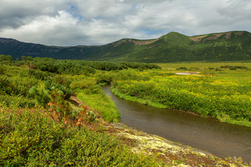 Fototapeta na wymiar Beautiful summer landscape in the Uzon Caldera. Kronotsky Nature Reserve