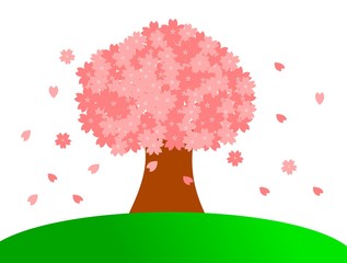 一本桜　白バック