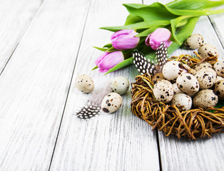 Fototapeta na wymiar quail eggs in nest