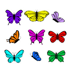 Obraz na płótnie Canvas Butterflies colorful collection