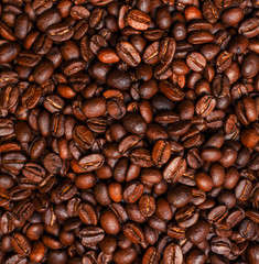 roasted coffee beans, can be used as a background