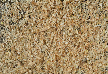Texture of sawdust