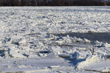 Obraz premium Frozen Danube river full of ice