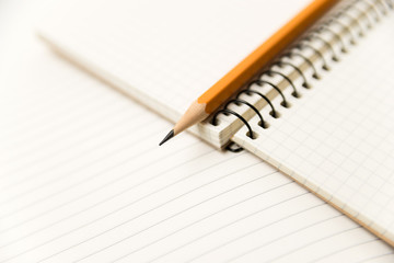 Pencil on the pages of an open notebook for records