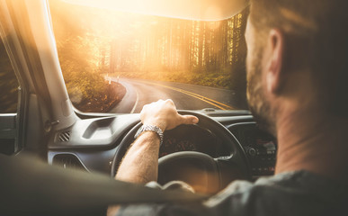 Mann fährt mit Auto durch einen Wald (Rückansicht) mit Gegenlicht