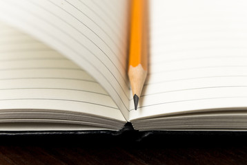 Pencil on the pages of an open notebook for records