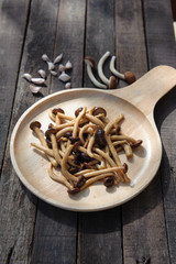 Fried mushroom with oyster sauce
