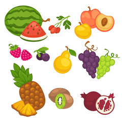 Vector fruit set of different fruits.