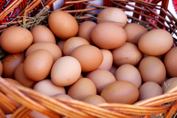 Organic farm eggs on the old wicker wooden basket