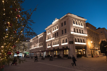Fototapeta na wymiar Luci notturne...aspettando il Natale a Trieste