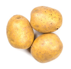 potato isolated on white background