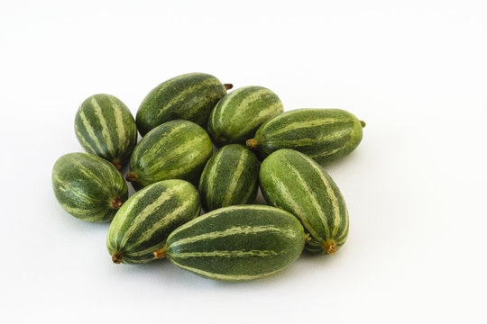 Pointed Gourd (Trichosanthes Dioica)