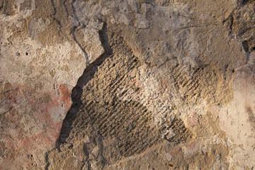 texture of the wall.