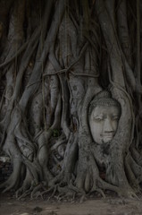 Fototapeta na wymiar Wat Mahathat in Ayutthaya / Thailand 
