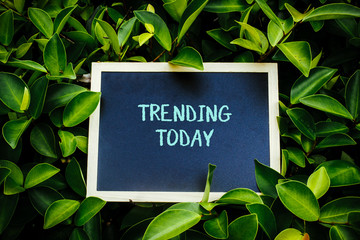 mini blackboard over the green nature written Trending Today