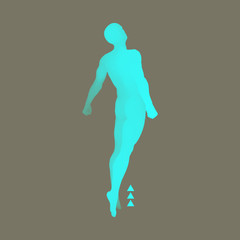 Jumping Man. 3D Model of Man. Human Body Model.