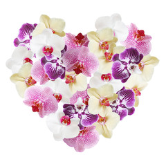 Postcard Valentine's Day. Heart of flowers orchid 
