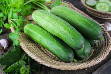 fresh cucumber on white background, raw organic vegetable