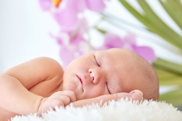 Obraz na płótnie Canvas Little newborn baby girl