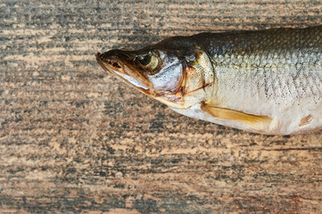 Obraz premium Salty stockfish on wooden table