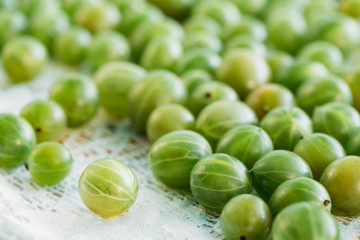 Ripe Fresh Gooseberry Berry, Ribes Uva-Crispa Or Ribes Grossularia