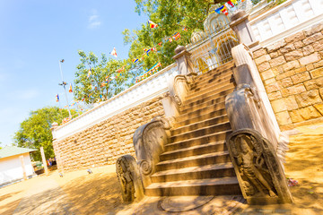 Anuradhapura Jaya Sri Maha Bodhi Tree Sky Angled