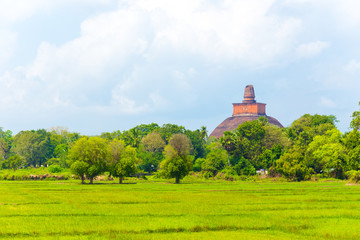 Anuradhapura Jetavanaramaya Stupa Distant H