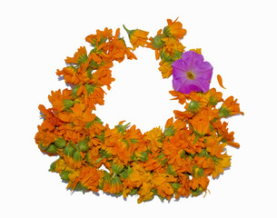 Group of flower arranged in form of hand basket Pot marigold Calendula officinalis