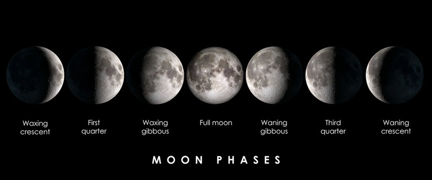 Lunar Phases Vector Illustration Moon Phase Cycle New Moon Full Moon Icons  Stock Illustration - Download Image Now - iStock