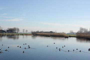 Winter in Holland