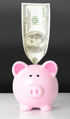 Piggy bank with 100 dollars