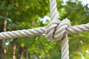 Rope knot line tied together with nature background,as a symbol for trust, teamwork or collaboration.
