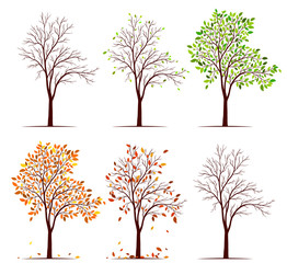 Seasons of tree vector
