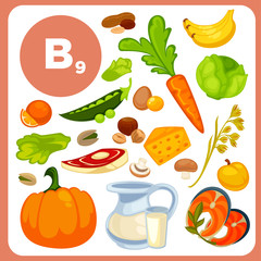 Vitamin B12, folic acid sources.