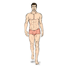 Vector Sketch Fashion Male Model in Underwear