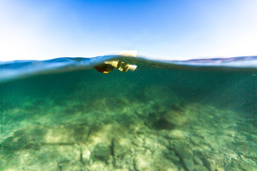 Trash, cans in sea, pollution, ocean, Adriatic