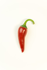 One ripe red Chilli pepper on over white