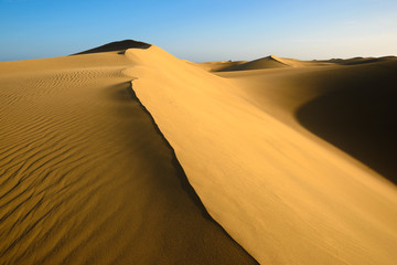 Fototapeta na wymiar Sand dunes on the beach of Maspalomas, Gran Canaria, Spain