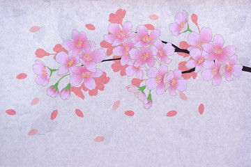 桜　和紙