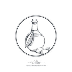 Hand drawn bottle olive oil. Vector sketch illustration.